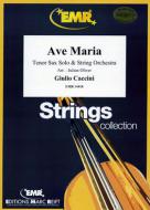 Ave Maria Standard