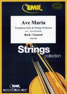 Ave Maria Standard