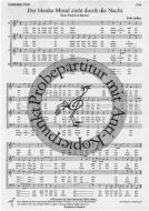 Der blanke Mond zieht durch die Nacht 