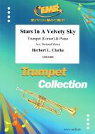 Stars in a Velvety Sky Standard