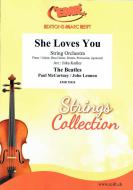 She Loves You Standard