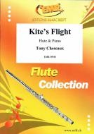 Kite's Flight Standard