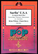 Surfin' U.S.A Download