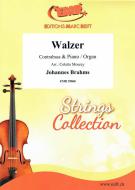Walzer Standard