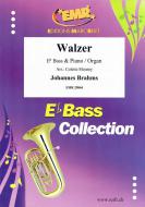 Walzer Standard