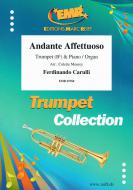 Andante Affettuoso Standard