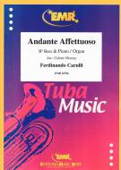 Andante Affettuoso Standard