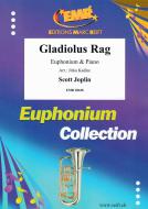 Gladiolus Rag Standard