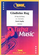Gladiolus Rag Standard