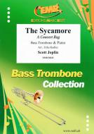 The Sycamore Standard