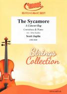 The Sycamore Standard