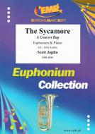 The Sycamore Standard