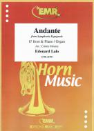 Andante Standard