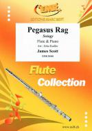 Pegasus Rag Standard