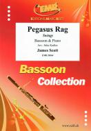 Pegasus Rag Standard