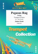 Pegasus Rag Standard