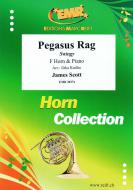 Pegasus Rag Standard