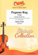 Pegasus Rag Standard