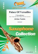 Palace of Versailles Download