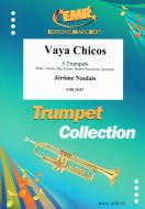 Vaya Chicos Download
