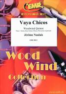 Vaya Chicos Download