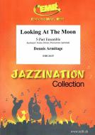 Looking At The Moon Download