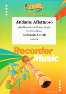 Andante Affettuoso Download