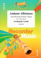 Andante Affettuoso Download