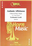 Andante Affettuoso Download