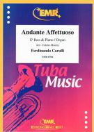Andante Affettuoso Download
