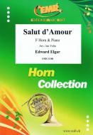 Salut d'Amour Download