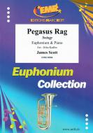 Pegasus Rag Download