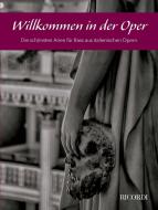 Willkommen in der Oper (Bass) 