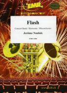 Flash Standard