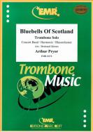 Bluebells Of Scotland Standard