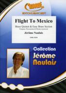 Flight To Mexico Standard