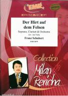 Der Hirt auf dem Felsen Standard