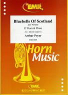 Bluebells Of Scotland Standard