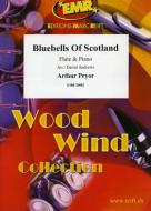 Bluebells of Scotland Standard