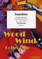 Sunshine Standard