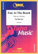 Fun At The Beach Standard