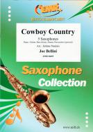 Cowboy Country Standard