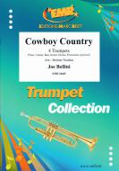 Cowboy Country Standard