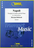 Napoli Standard