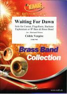 Waiting For Dawn Standard
