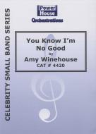You Know I'm No Good 