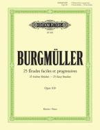 25 Easy and Progressive Studies Op. 100 