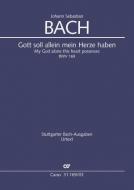 My God alone this heart possesses BWV 169 