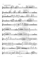 Maskarade / Masquerade - Canzone Parodica 