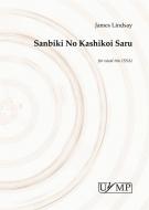 Sanbiki No Kashikoi Saru 